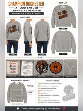Champion Rochester x Todd Snyder Tiger Graphic Crewneck Sweatshirt Gray Men's M